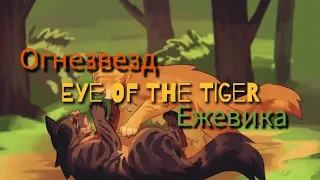 •ЗАКАЗ : Огнезвезд и Ежевика |кв|[Eye of The Tiger]
