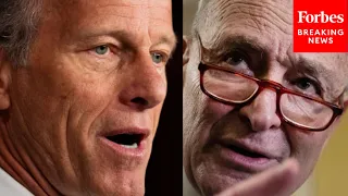 John Thune Slams Schumer For Using Border Security Act As 'Political Cover To Vulnerable Democrats'