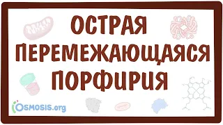 Острая перемежающаяся порфирия — причины, симптомы, патогенез, диагностика, лечение