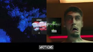 Tiësto vs Martin Garrix & Mesto - The Business vs Limitless (Matthews Mashup)