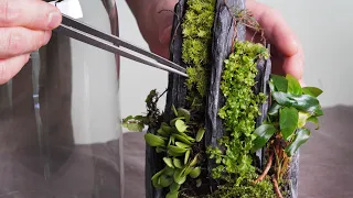 Three seconds is enough time to stick a stone! Making moss terrarium in glass dome