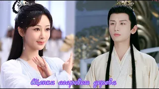 Клип на дораму Щепки агарового дерева|Immortal Samsara(Yan Dan & Emperor Ying Yuan) -Давай на счёт 3