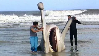 10 SCARIEST Sea Monsters Ever Caught!