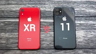 КАКОЙ iPhone КУПИТЬ iPhone XR VS iPhone 11?