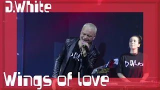 D.White - Wings of love (LIVE, 2023). Euro Dance, NEW Italo Disco, music of 80-90s, Disco fox