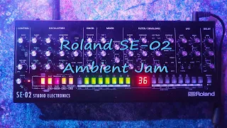 Sometimes i enjoy being alone with roland se-02 | a playlist -