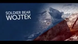 Soldier Bear Wojtek