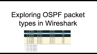 Exploring OSPF packets in Wireshark