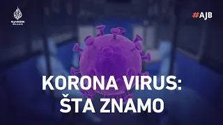 Šta znamo o korona virusu