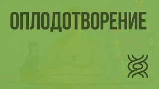 Оплодотворение. Видеоурок по биологии 10 класс