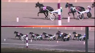 Eternal Camnation - 2003 Breeders Crown - Woodbine Racetrack