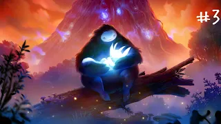 나온지 8년 지났지만 어쨌든 새로운거   [ Ori and the Blind Forest: Definitive Edition ]   3일차