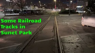 Some Railroad Tracks in Sunset Park