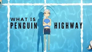 ELEVEN QUESTIONS about Penguin Highway