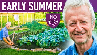 Speedy Replanting and Inter-sowing: Secrets to a Bountiful Early Summer Garden