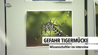 Gefahr Tigermücke | RON TV |