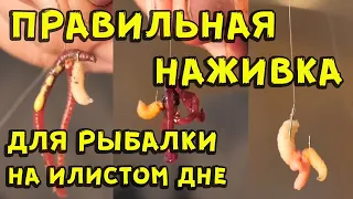 Правильная наживка для рыбалки на илистом дне