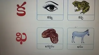 1 st std -  Basics -  First language Telugu - Ap govt