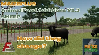 ANIMAL FOOD ADDITIONS UPDATE | SHEEP | ARE THEY PROFITABLE? MaizePlus | FS22