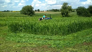 Покос суданской трави мини трактором DW 244 AT и китайской ротортой косой ДТЗ 135