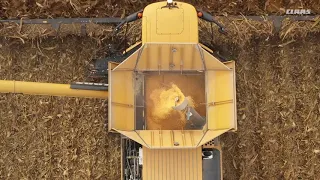 LEXION Corn Harvest World Record / EN-NA