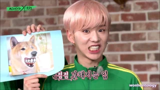 MONSTA X-RAY EP.1 - A SUMMARY