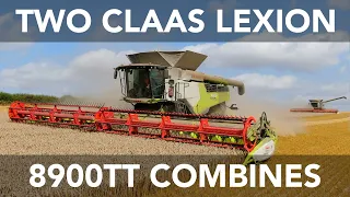 Two Claas Lexion 8900TT Combines Harvesting Wheat - 2021