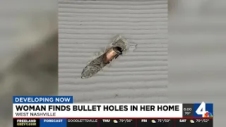 Woman finds bullet homes in her home