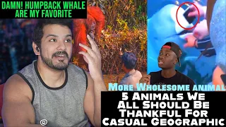 5 Animals We All Should Be Thankful For by casual geographic reaction