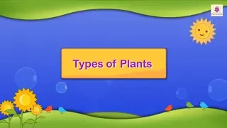 Types of Plants | Science For Grade 3 Kids | #3