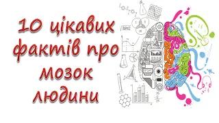 10 цікавих фактів про мозок людини