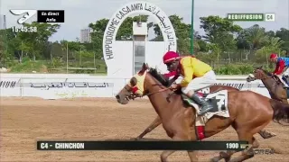 Live  Hippodrome « Casablanca »   |   Courses du «13/06/2018»