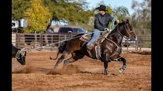 "Reno" - ONCE INA BAY BOON - Lot #3 Consigned to Rancho Rio Horse Sale 2024