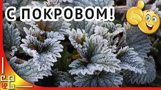 С Покровом Пресвятой Богородицы друзья !  Музыкальное поздравление с Покровом