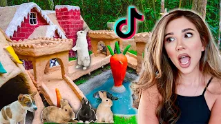 REACTING TO TIK TOK'S MOST INSANE RABBIT HABITATS