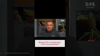 🤔 "Що, здуріли"? НАТО реагуватиме на падіння БпЛА на території країн-членок Альянсу?