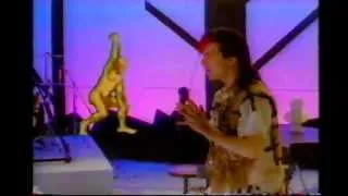 GOWAN - "Strange Animal"