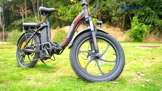 FAFREES F20 Electric Bike: Incredible Beautiful!