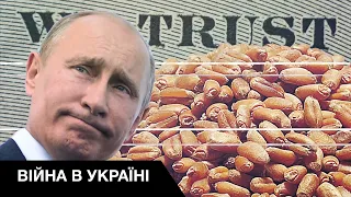 🌾Сколько денег потеряла Украина из-за кражи украинского зерна