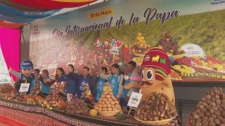 Peruvians mark first International Day for its staple crop, potatoes