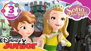 Sofia the First | The New School Song 🎶 | Disney Junior UK