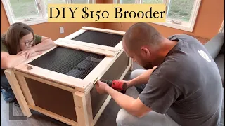 Chicken Brooder Build | Big Enough for 2 dozen Chicks 🤭