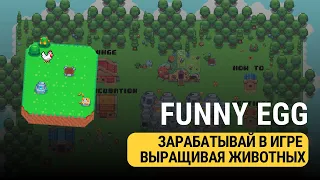 FUNNY EGG - ОБЗОР НОВОЙ ИГРЫ! (НЕ ИНВЕСТИРОВАТЬ)