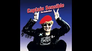 Captain Sensible - *Wot*