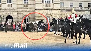 Another spooked Household Cavalry horse throws rider during military parade in London