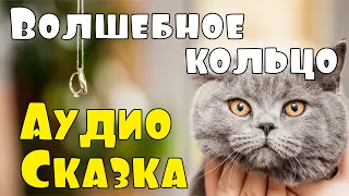 Сказка 🌞 Волшебное кольцо ✨ Русские Сказки