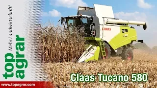 Claas Tucano 580 im top agrar-Maiseinsatz