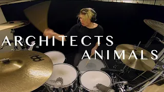 Architects - Animals | Drum Cover • Gabriel Gomér