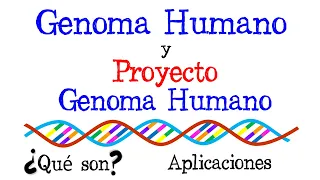 💉El Genoma Humano y Proyecto Genoma Humano | Ejemplos y Aplicaciones👨 [Fácil y Rápido] | BIOLOGÍA |