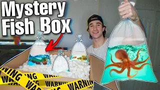 BUYING CREEPY BAT FISH MYSTERY BOX... (what's inside?)